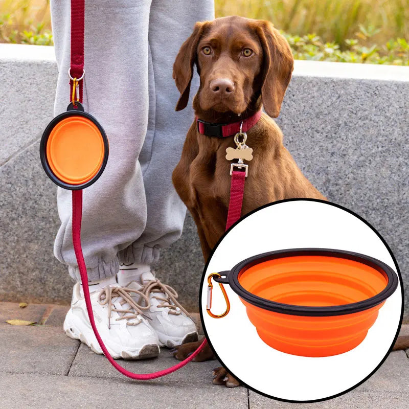 Folding Portable Silicone Dog Feeder Bowl Pet Dispenser Outdoor Travel Dog Cat with Container Feeder With Carabiner