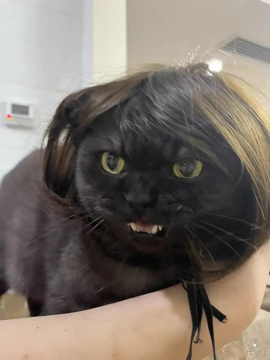 Pet Wig Dog Wig Pet Supplies Halloween Pet Accessories Curly Hair Straight Hair Cat Wig It can be DIY trimmed
