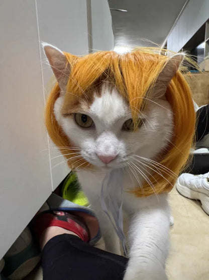 Pet Wig Dog Wig Pet Supplies Halloween Pet Accessories Curly Hair Straight Hair Cat Wig It can be DIY trimmed