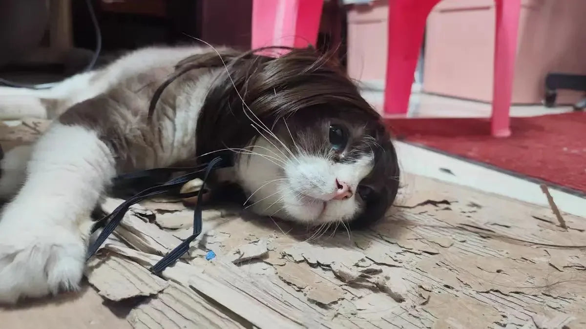 Pet Wig Dog Wig Pet Supplies Halloween Pet Accessories Curly Hair Straight Hair Cat Wig It can be DIY trimmed