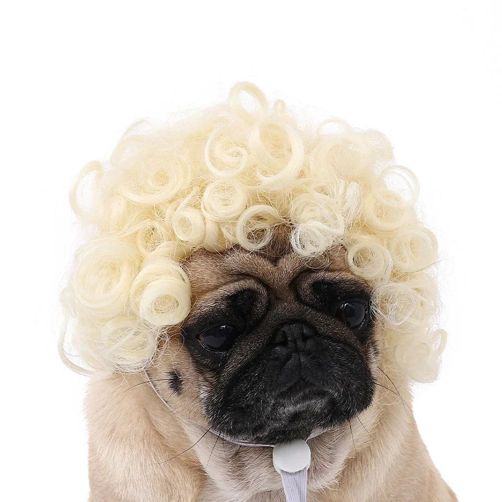 Pet Wig Dog Wig Pet Supplies Halloween Pet Accessories Curly Hair Straight Hair Cat Wig It can be DIY trimmed
