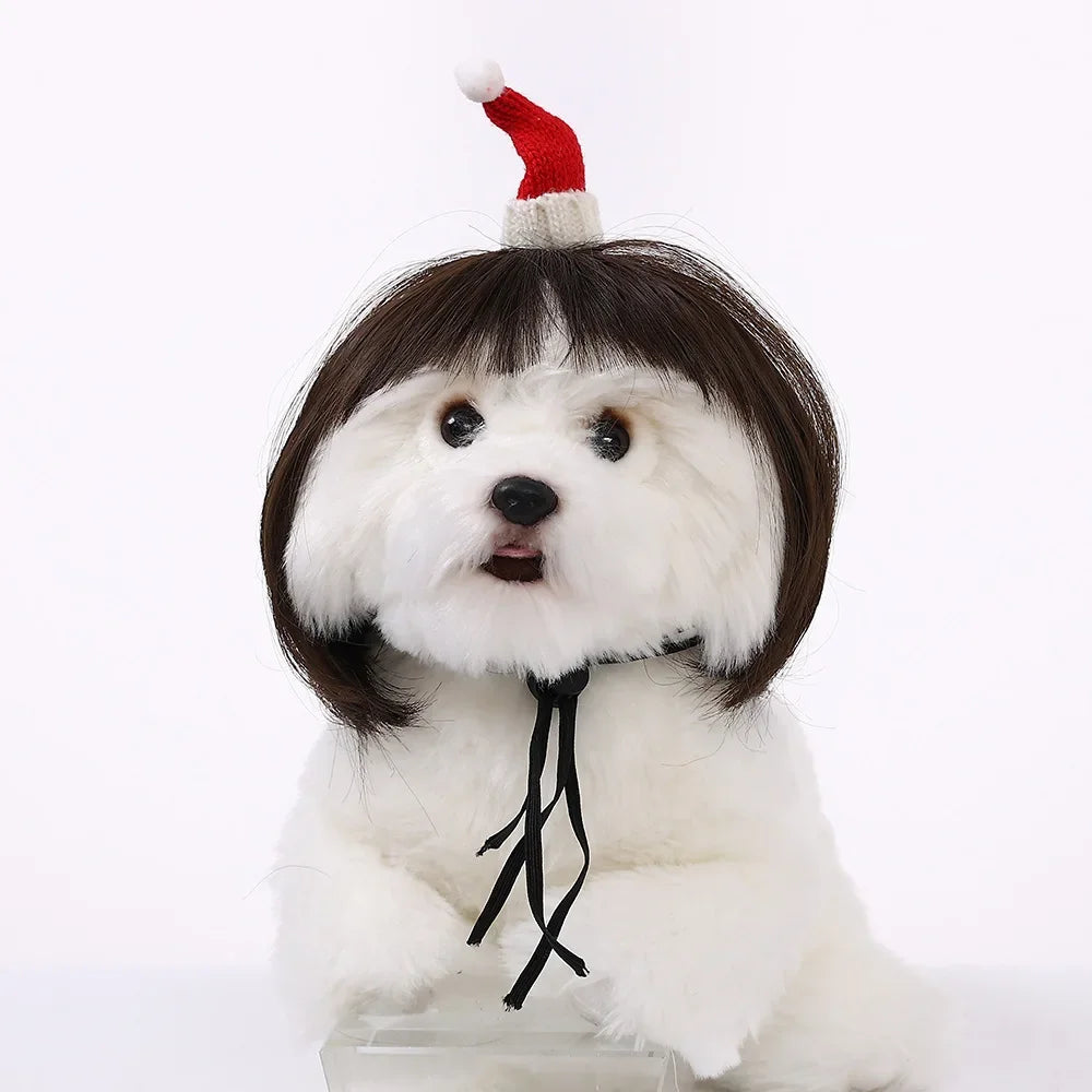 Pet Wig Dog Wig Pet Supplies Halloween Pet Accessories Curly Hair Straight Hair Cat Wig It can be DIY trimmed