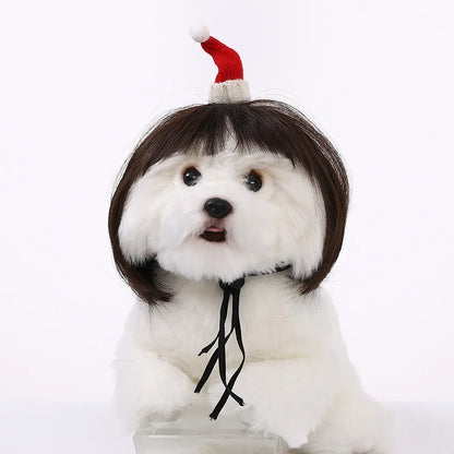 Pet Wig Dog Wig Pet Supplies Halloween Pet Accessories Curly Hair Straight Hair Cat Wig It can be DIY trimmed