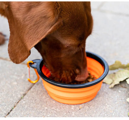 Folding Portable Silicone Dog Feeder Bowl Pet Dispenser Outdoor Travel Dog Cat with Container Feeder With Carabiner