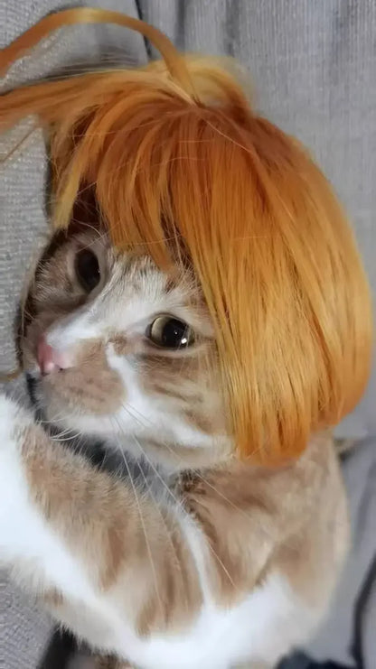 Pet Wig Dog Wig Pet Supplies Halloween Pet Accessories Curly Hair Straight Hair Cat Wig It can be DIY trimmed