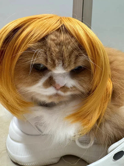 Pet Wig Dog Wig Pet Supplies Halloween Pet Accessories Curly Hair Straight Hair Cat Wig It can be DIY trimmed