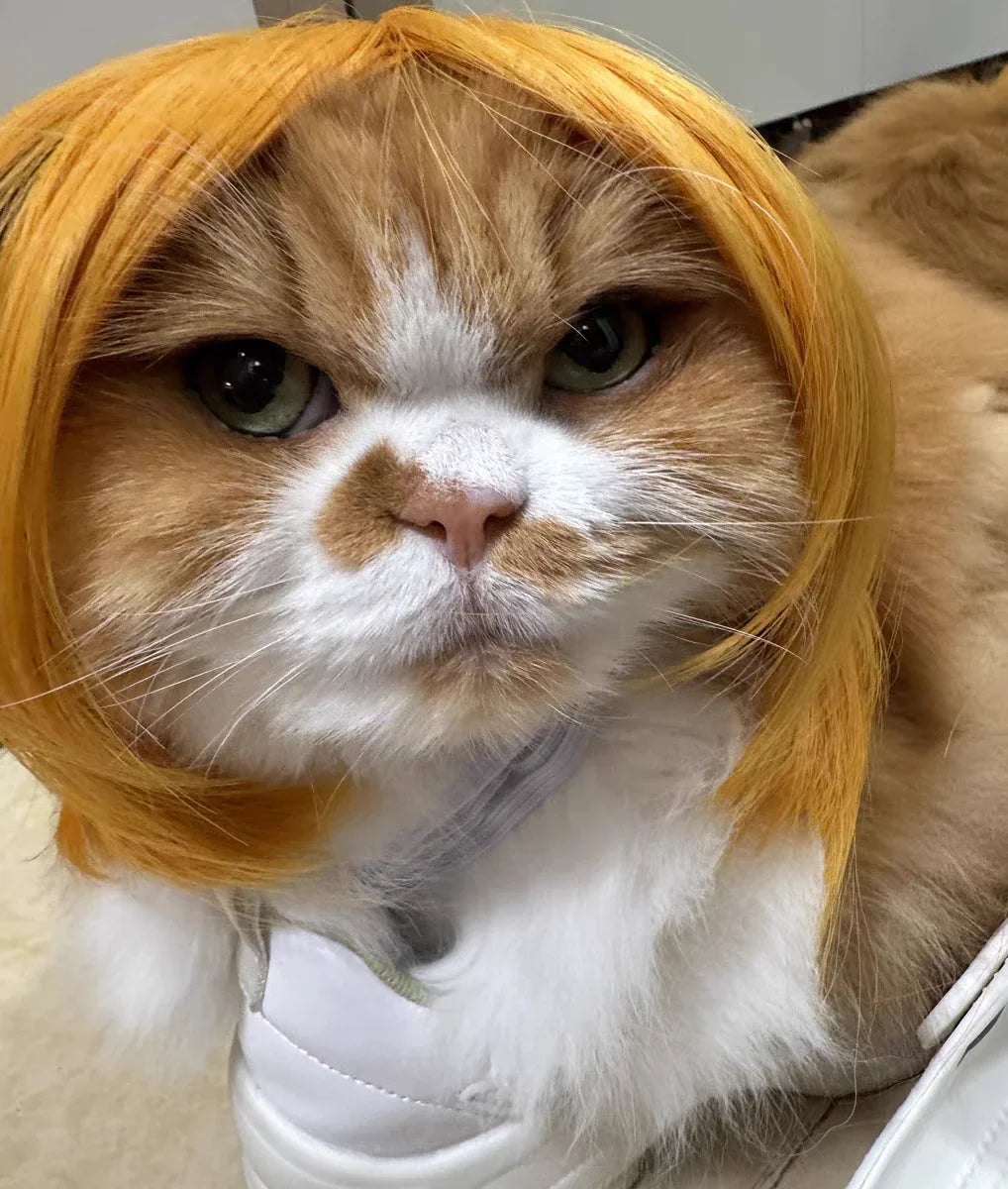 Pet Wig Dog Wig Pet Supplies Halloween Pet Accessories Curly Hair Straight Hair Cat Wig It can be DIY trimmed