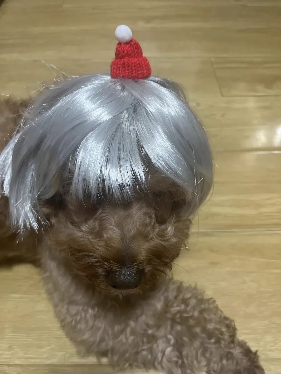 Pet Wig Dog Wig Pet Supplies Halloween Pet Accessories Curly Hair Straight Hair Cat Wig It can be DIY trimmed
